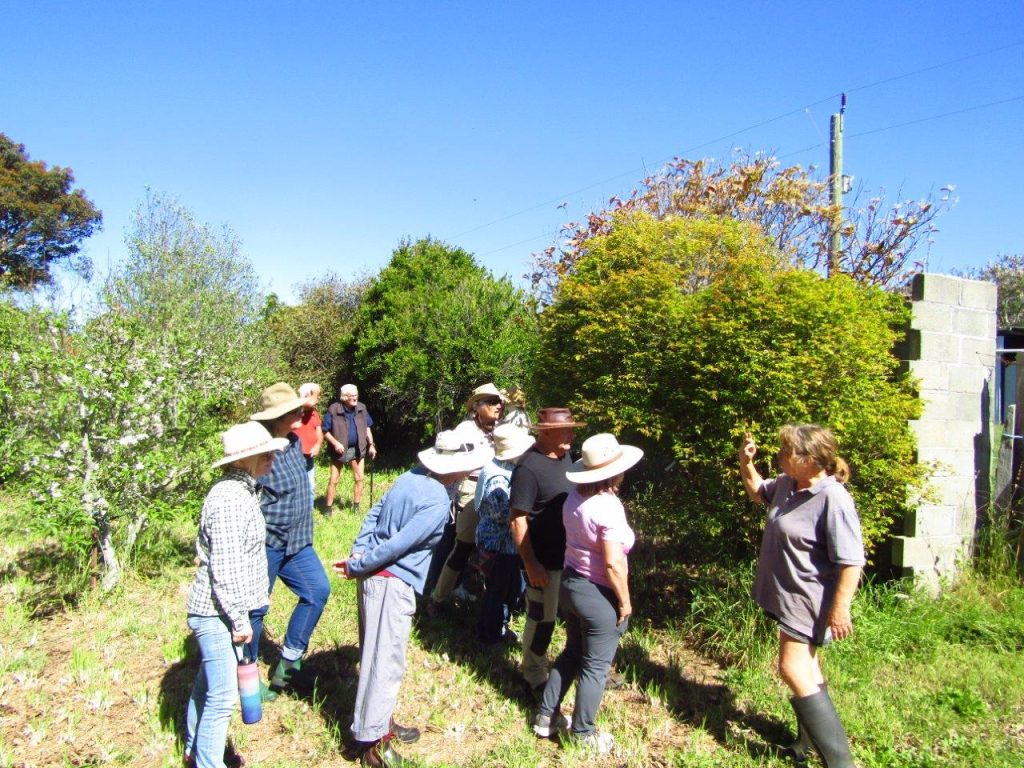 Denmark Community Garden Visits a Special Farm Near Denmark