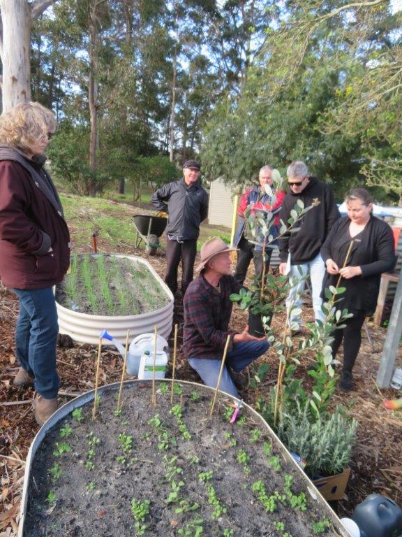 Denmark Community Garden