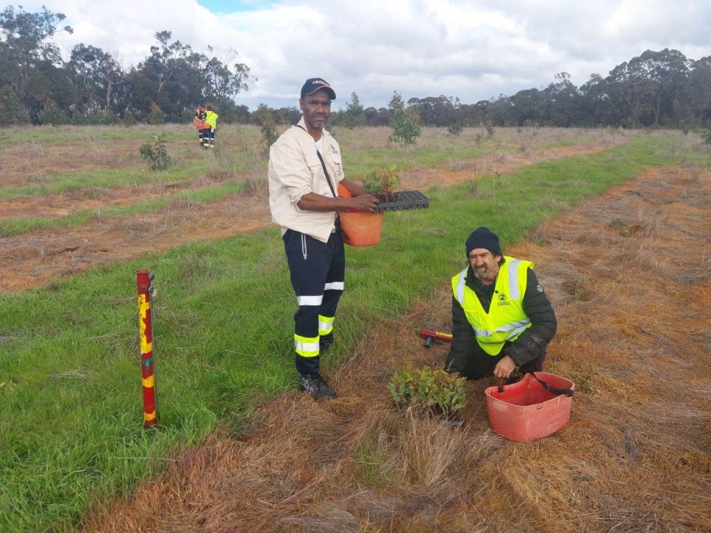 Andy and Mark- Gnowangerup Rangers planting at Tootanellup