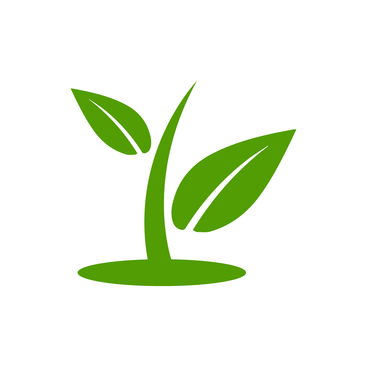 Environmental Services