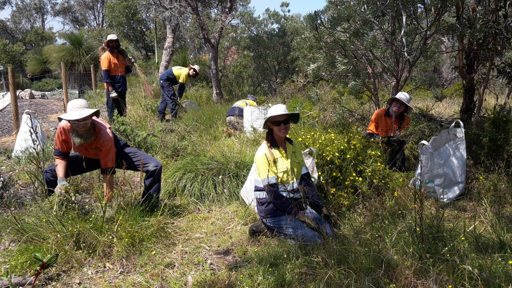 Stirling Hand Weeding Team
