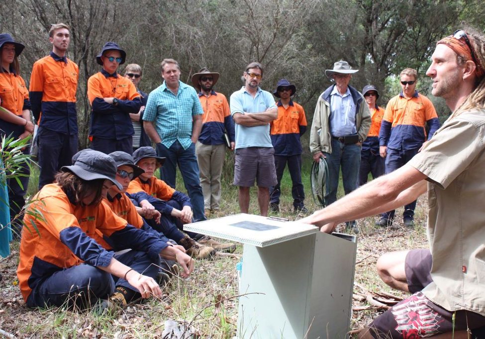 Green Skills Green Army Rick Wilson & Simon Cherriman how to build a nest box