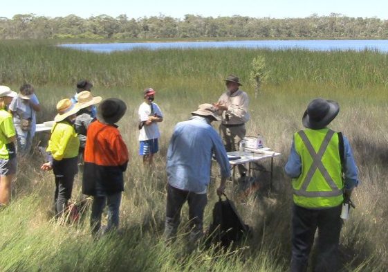 Tootanellup Wetlands BioBlitz Wetland Survey Feb 2022