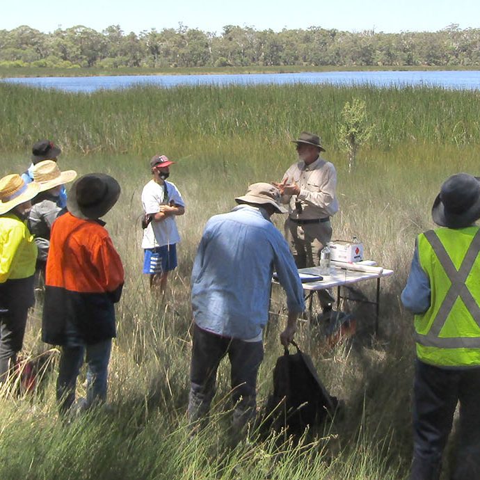 Tootanellup Wetlands BioBlitz Wetland Survey Feb 2022