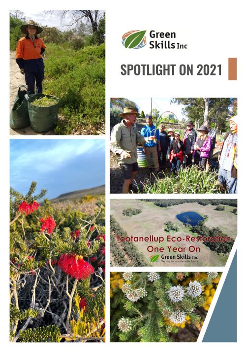 Impact Snapshot 2021